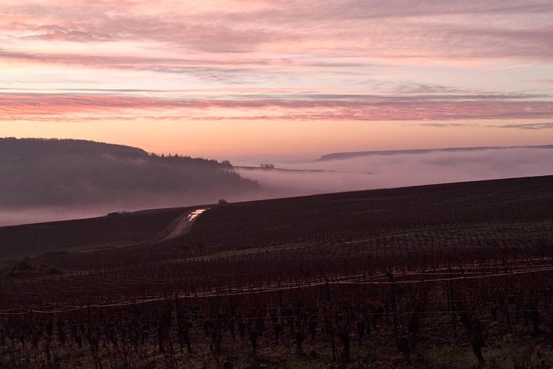 Photo of Others in Venteuil