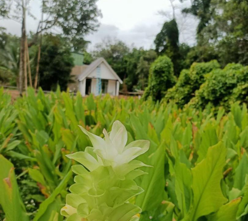 Photo of Others in Jerteh