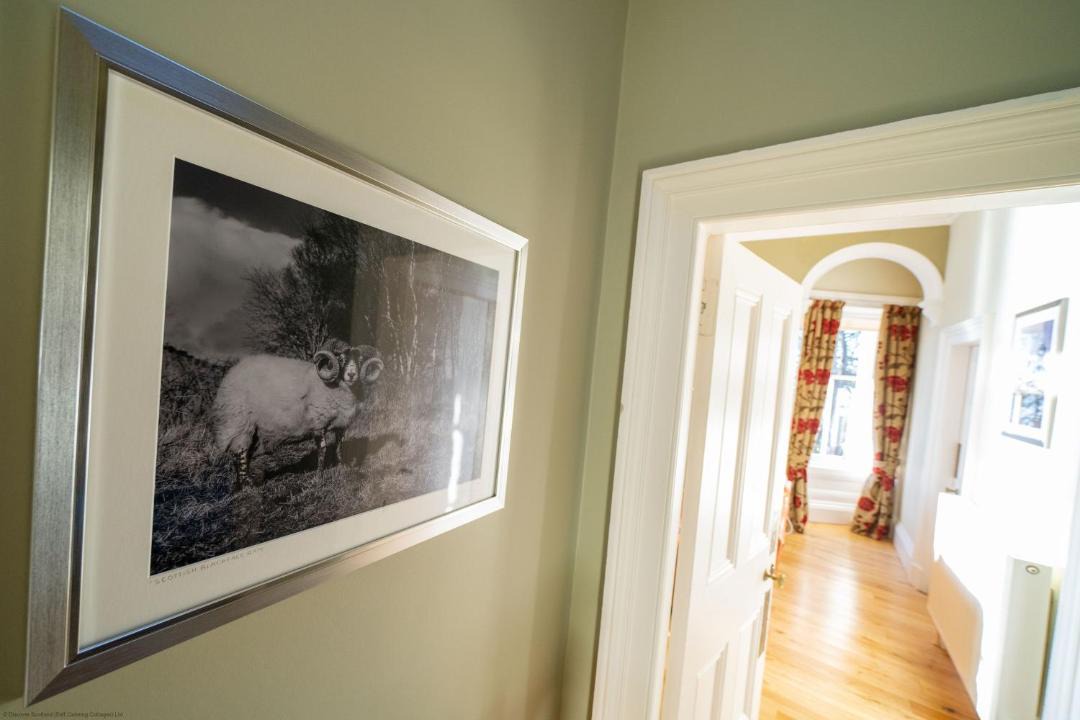 Photo of Others in North Queensferry