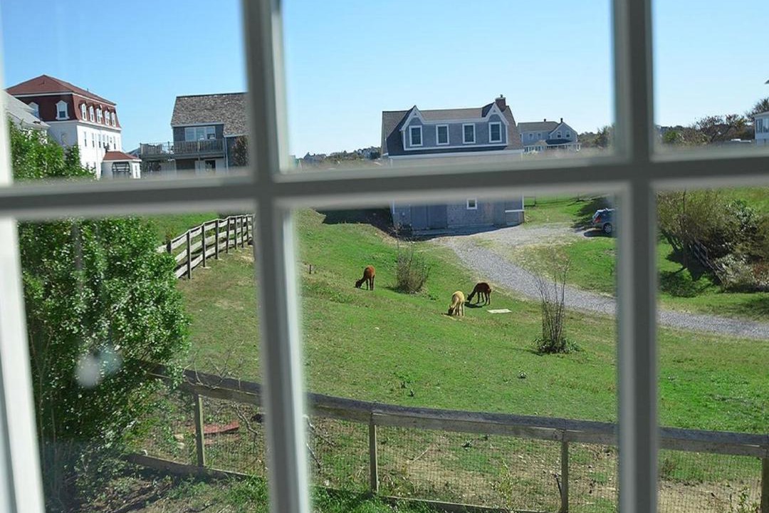 Photo of Others in Block Island