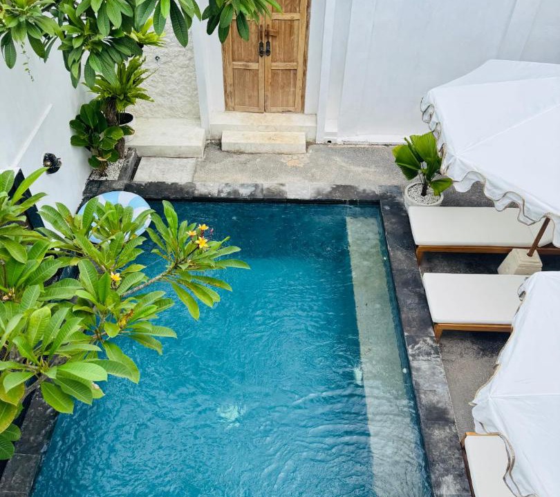 Photo of Others in Mushroom Bay