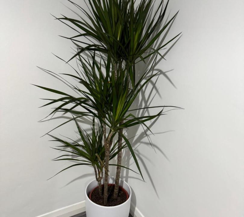 Photo of Others in Stainburn