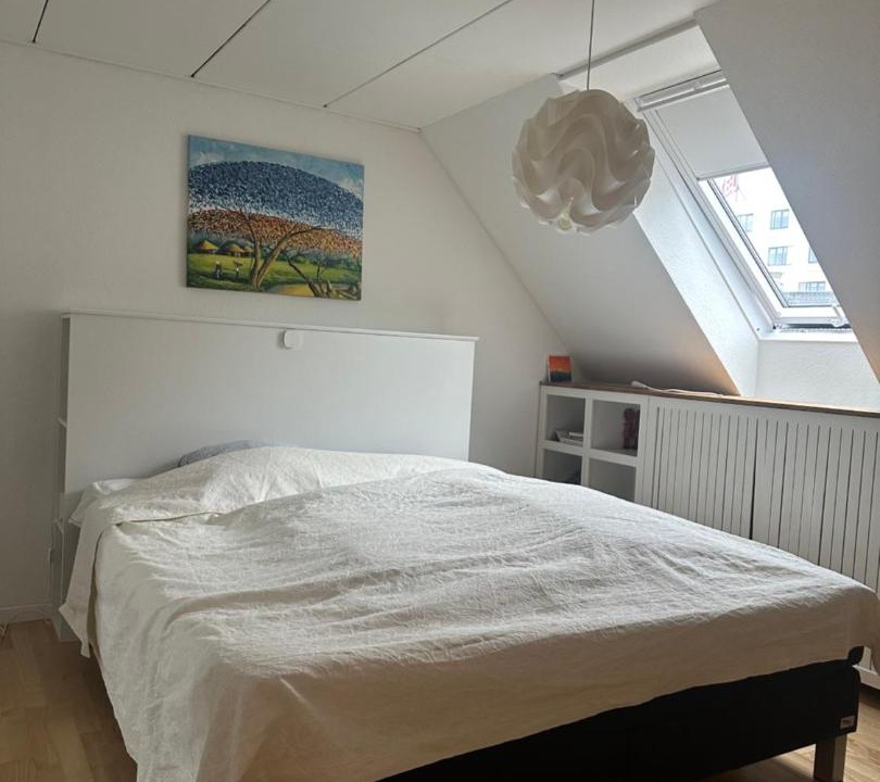 Photo of Others in Aalborg Midtby