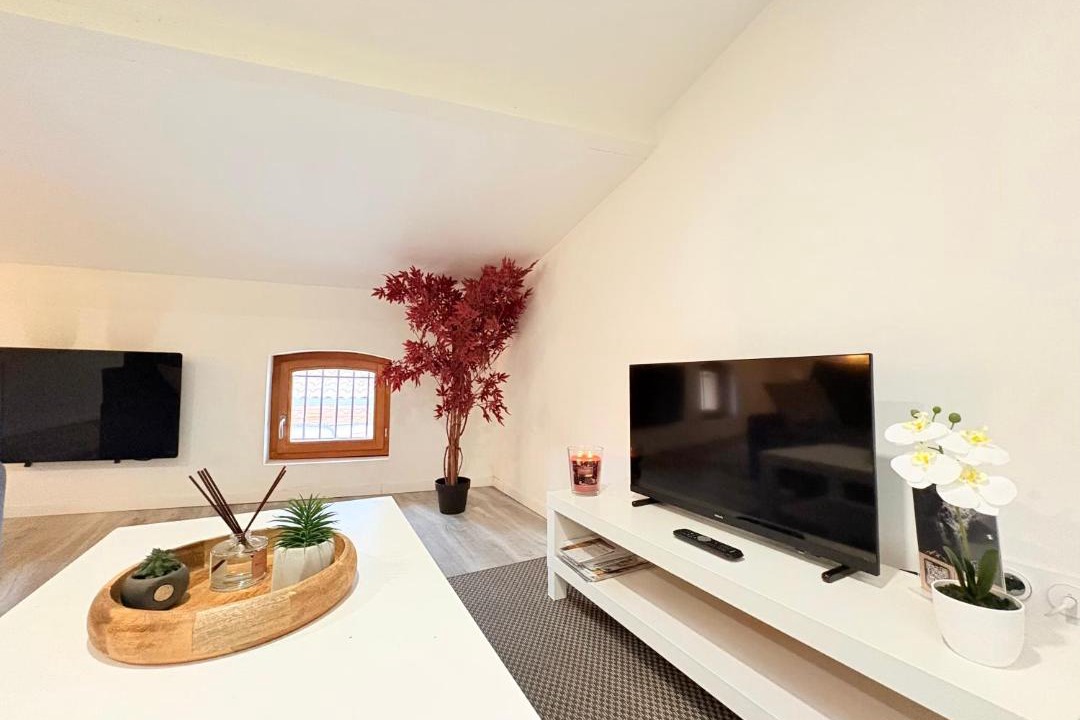 Photo of Others in Pamiers