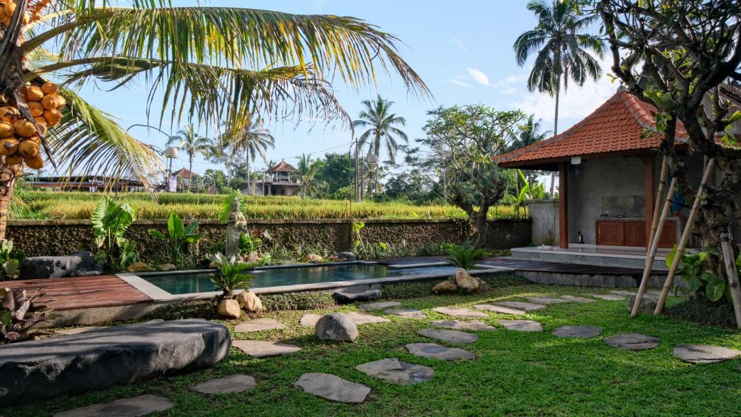 Photo of Others in Taro