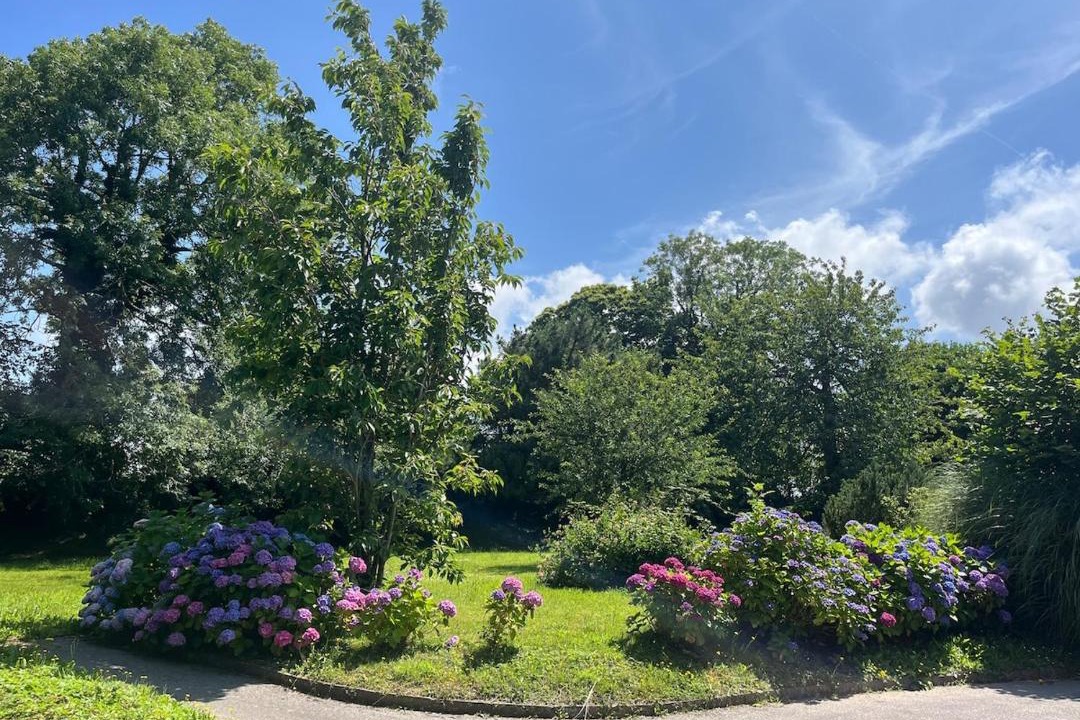 Photo of Outdoor in La Celle-sous-Gouzon