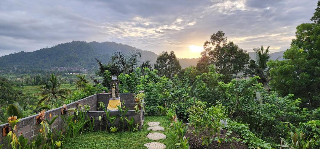 Photo of Others in Sidemen