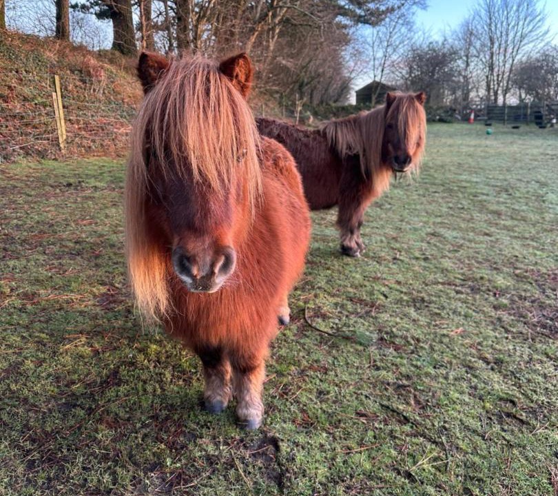 Photo of Others in Boscundle