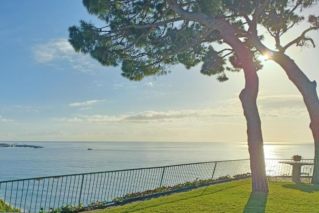 Photo of Others in Arenys de Mar