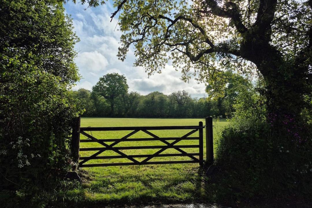 Photo of Others in Trewen