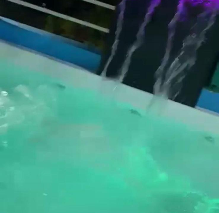 Photo of Others in Yamasa