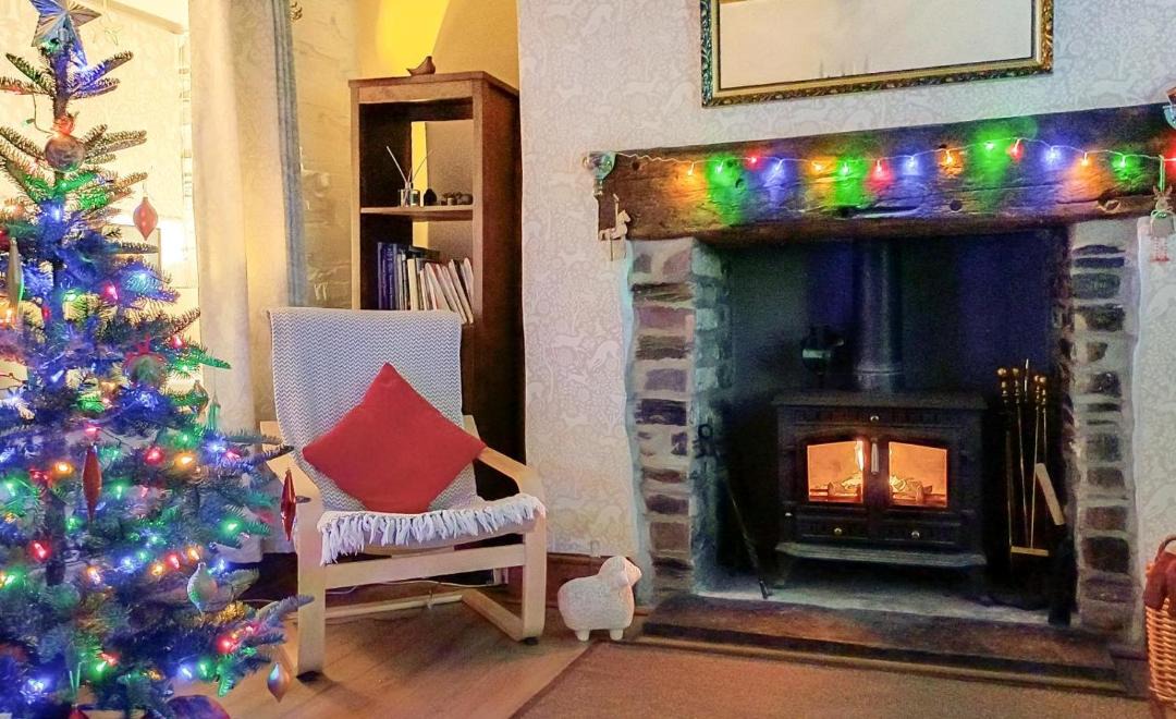 Photo of Others in Machynlleth