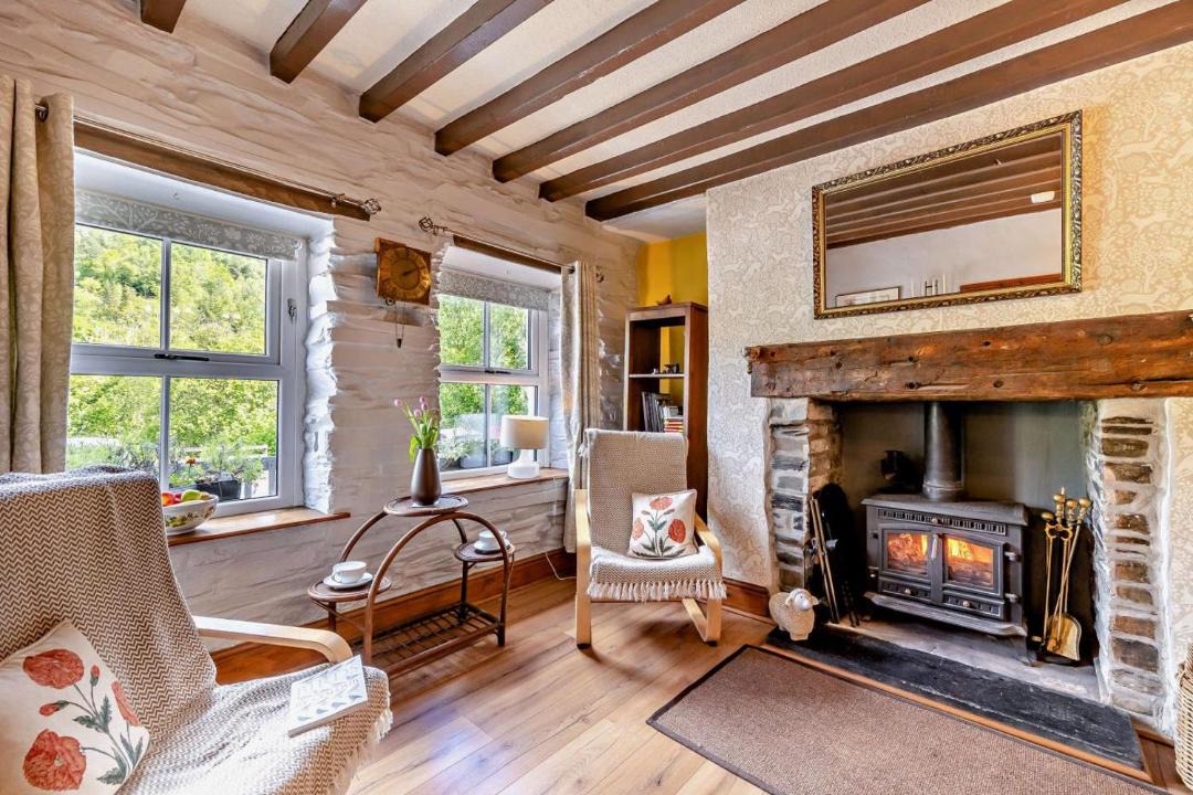 Photo of Others in Machynlleth