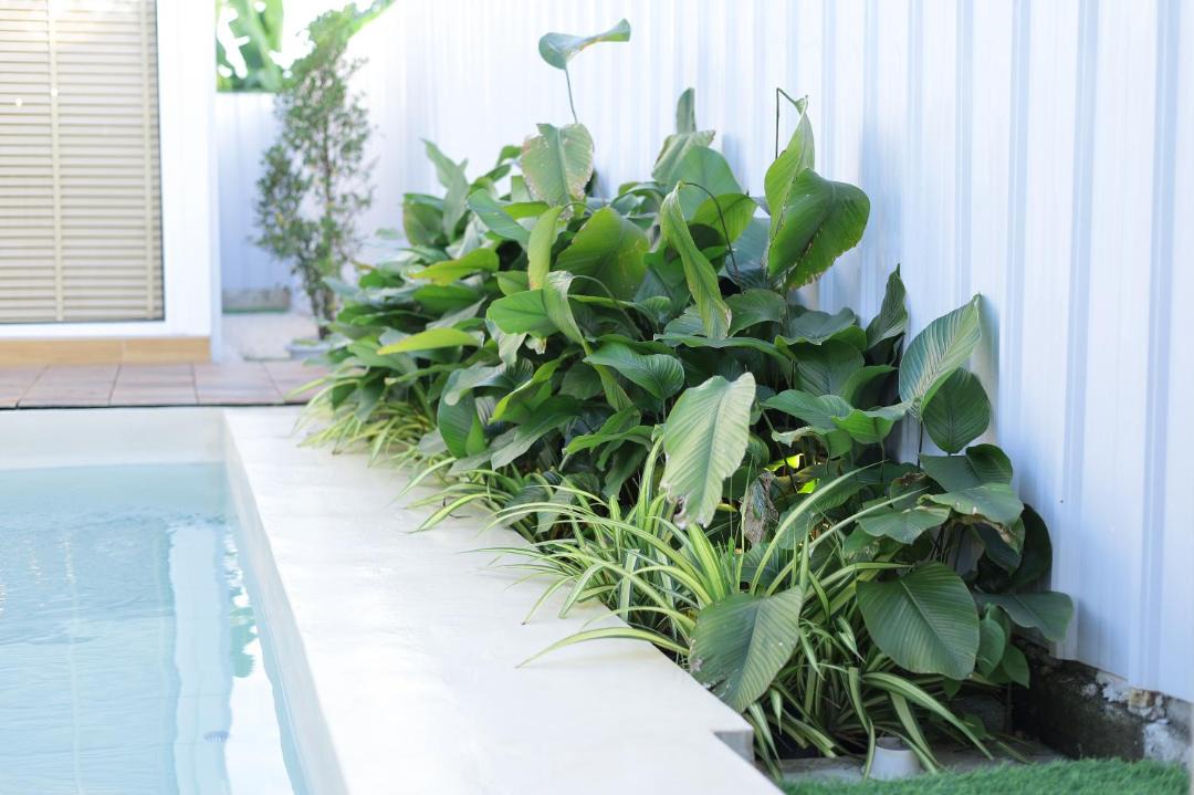 Photo of Others in Pengkalan