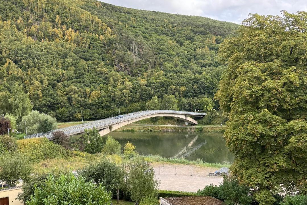 Photo of Others in Revin