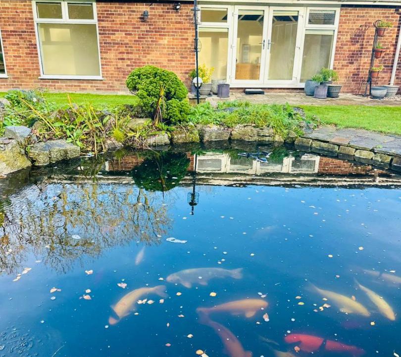 Photo of Others in Brands Hatch