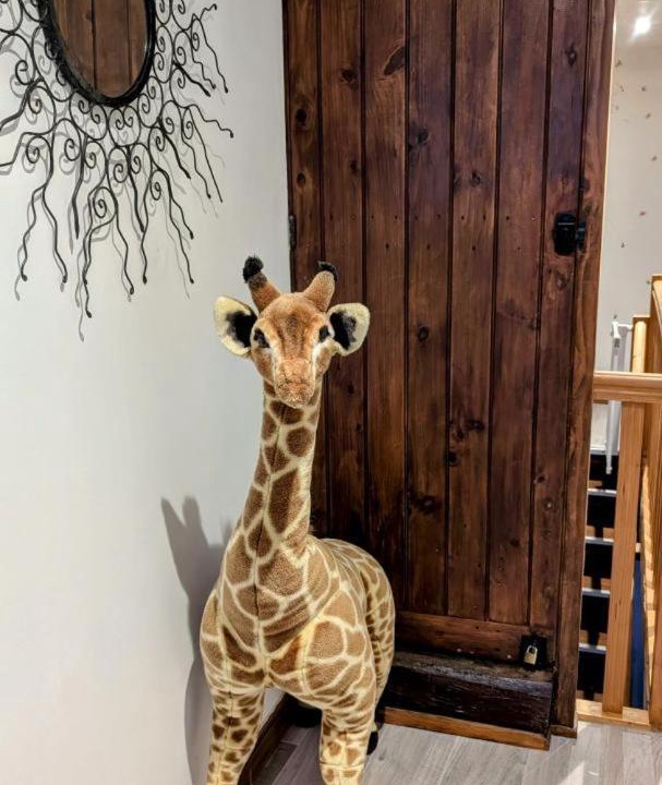 Photo of Others in Saint-Julien-le-Petit