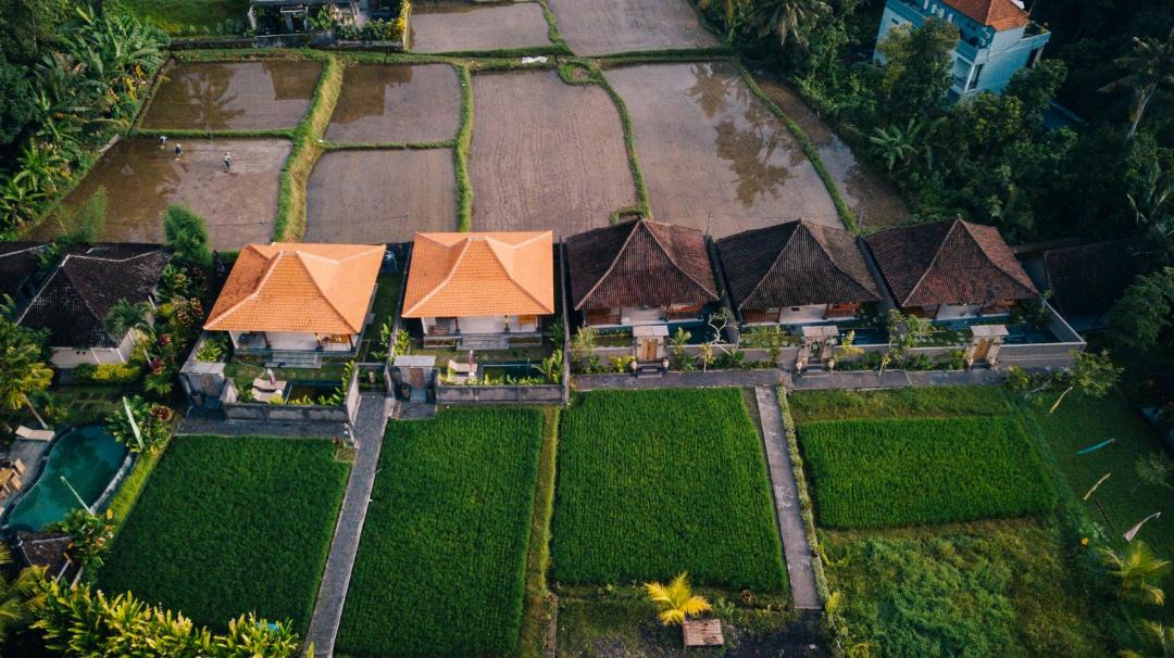 Photo of Others in Petulu