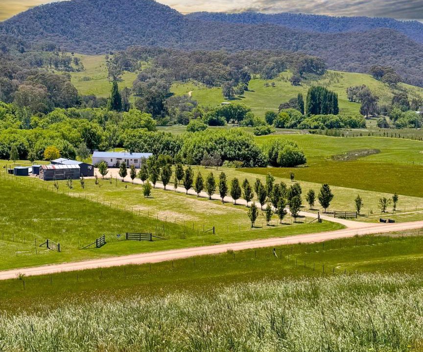 Photo of Others in Jamieson