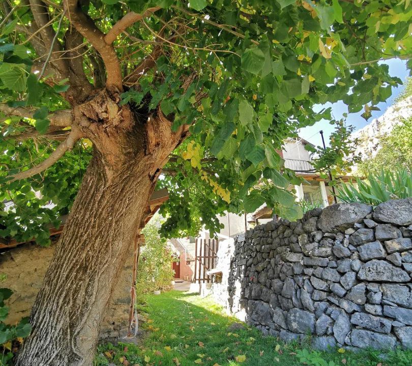 Photo of Others in Sauze