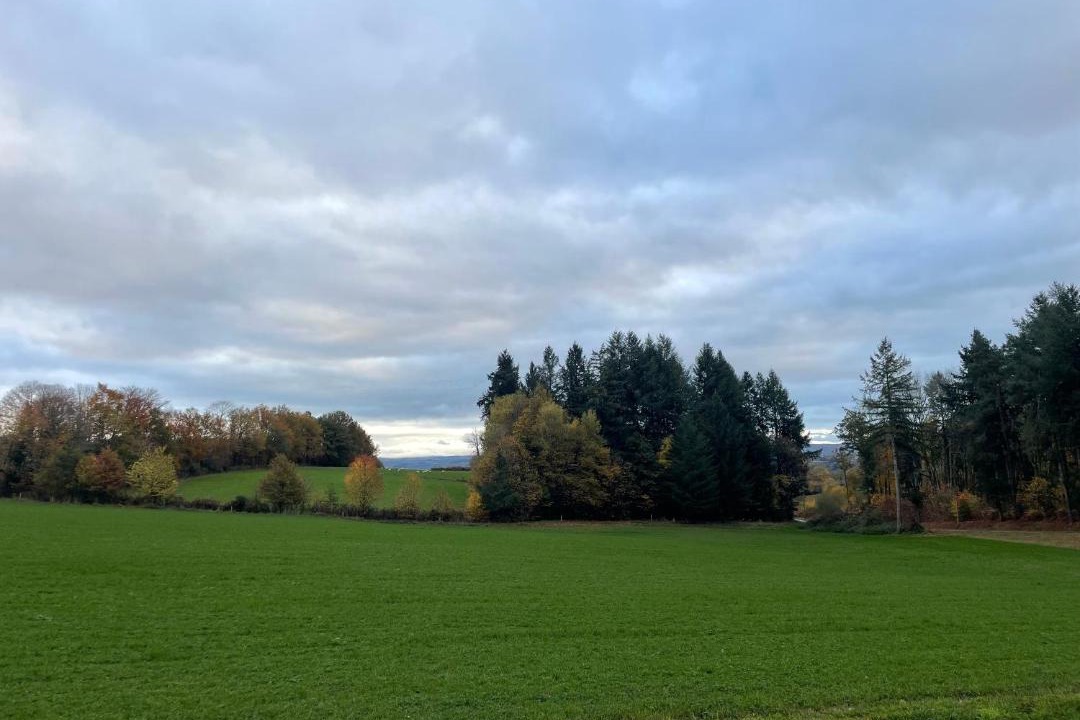 Photo of Others in Saint-Leonard-de-Noblat