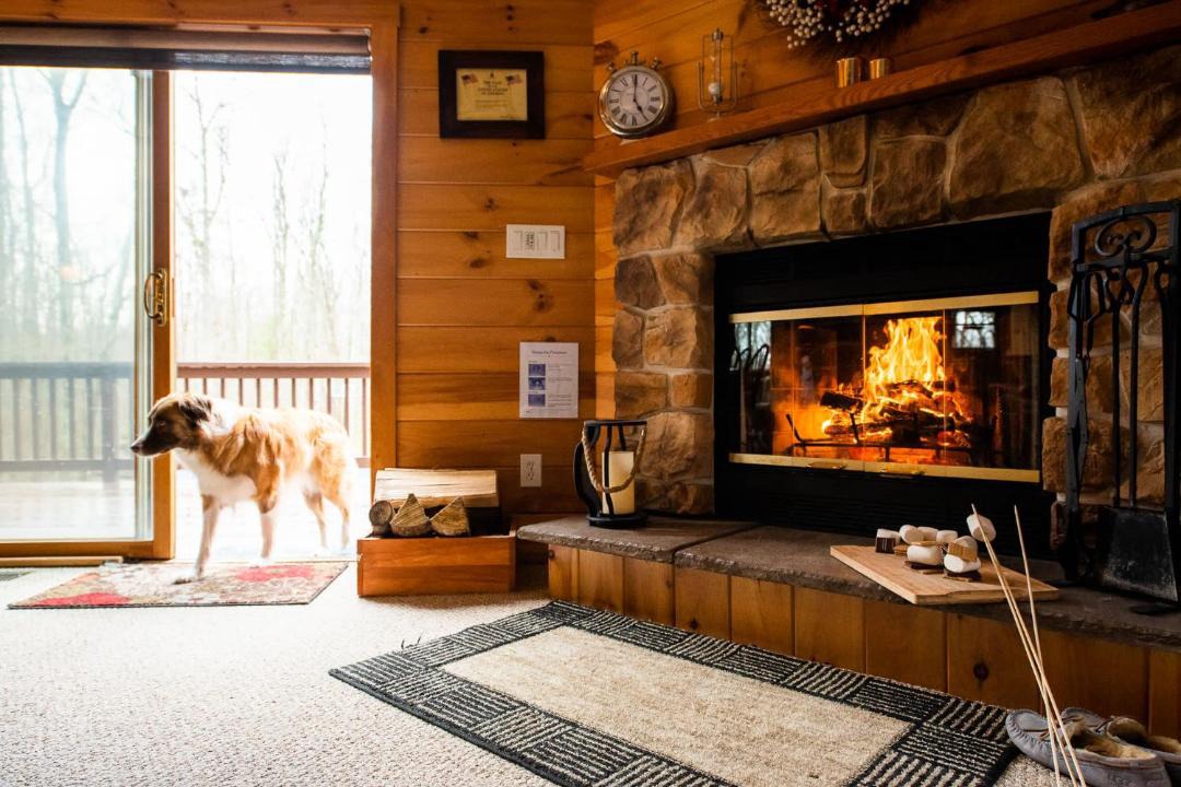 Photo of Others in Lakeville