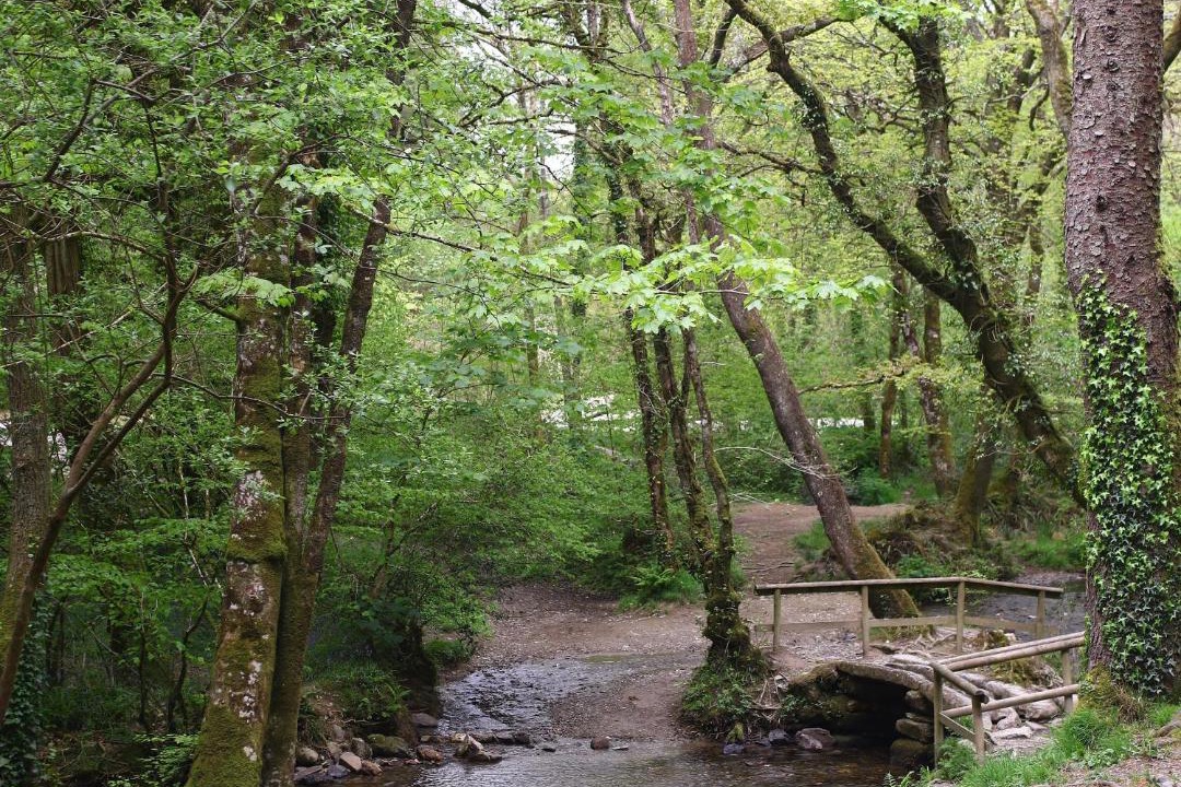 Photo of Others in Cardinham