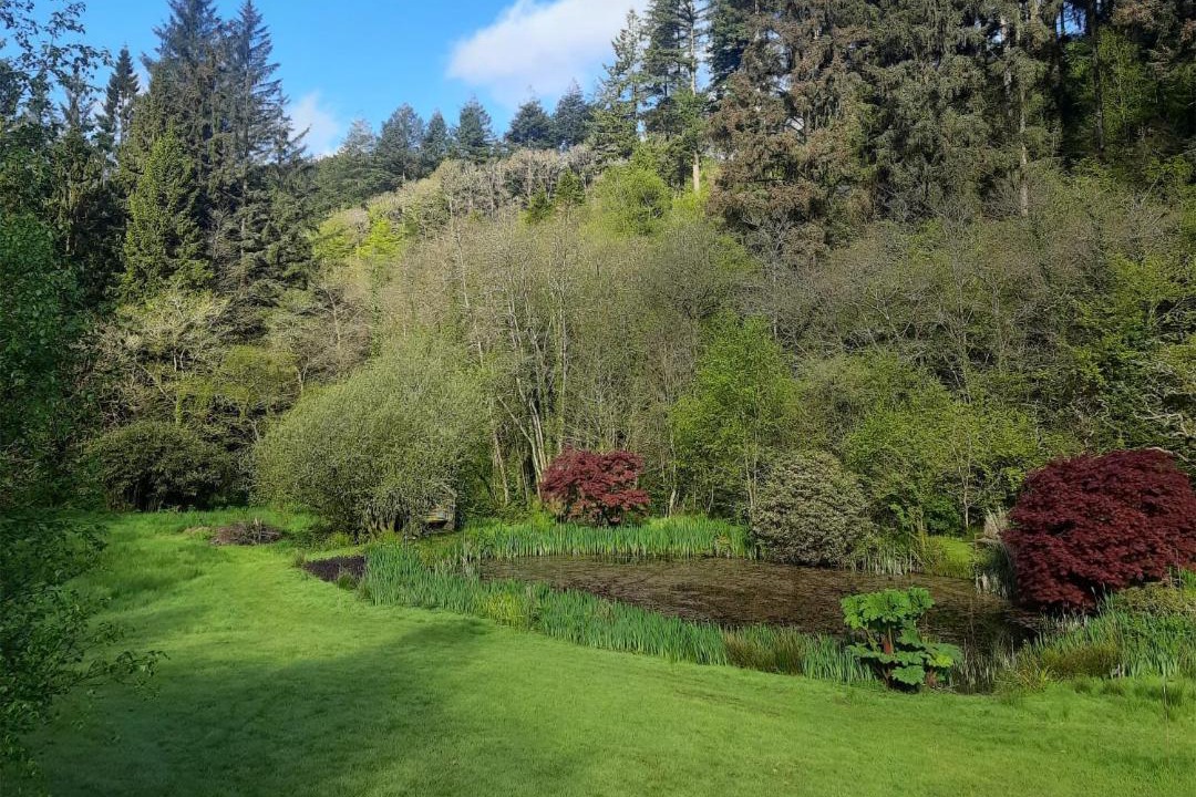 Photo of Others in Cardinham