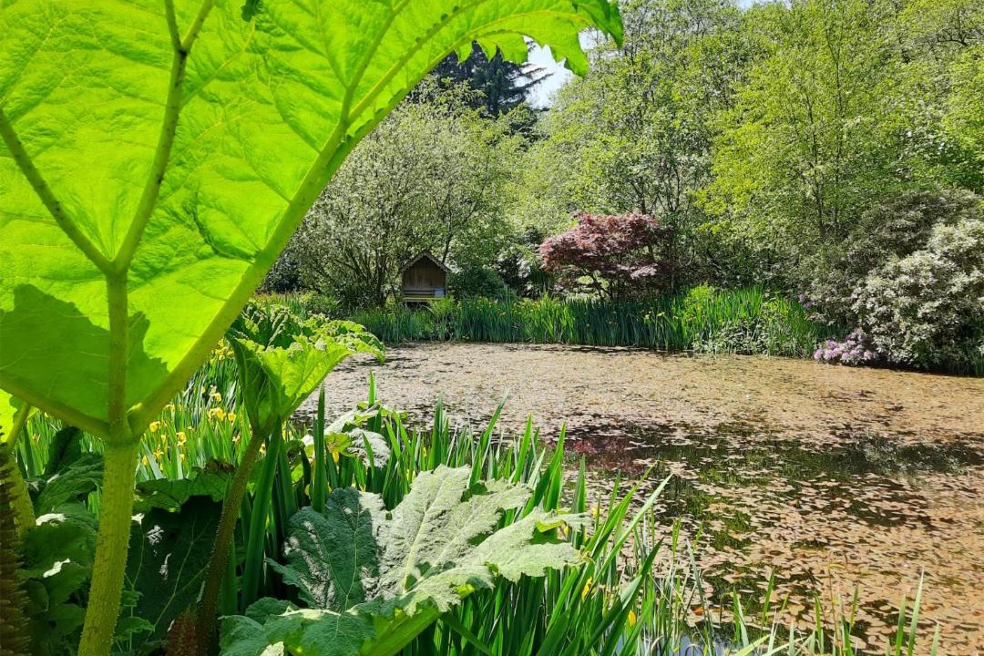 Photo of Others in Cardinham