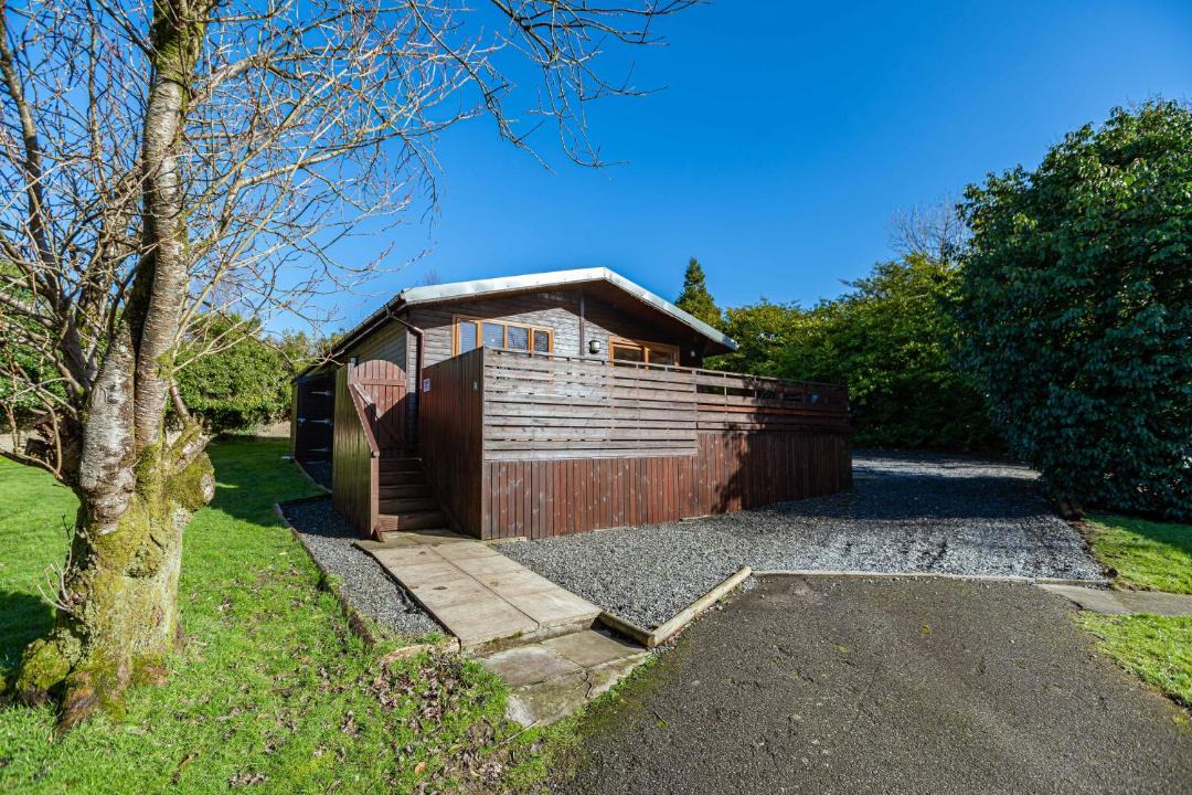 Photo of Others in Newton Stewart