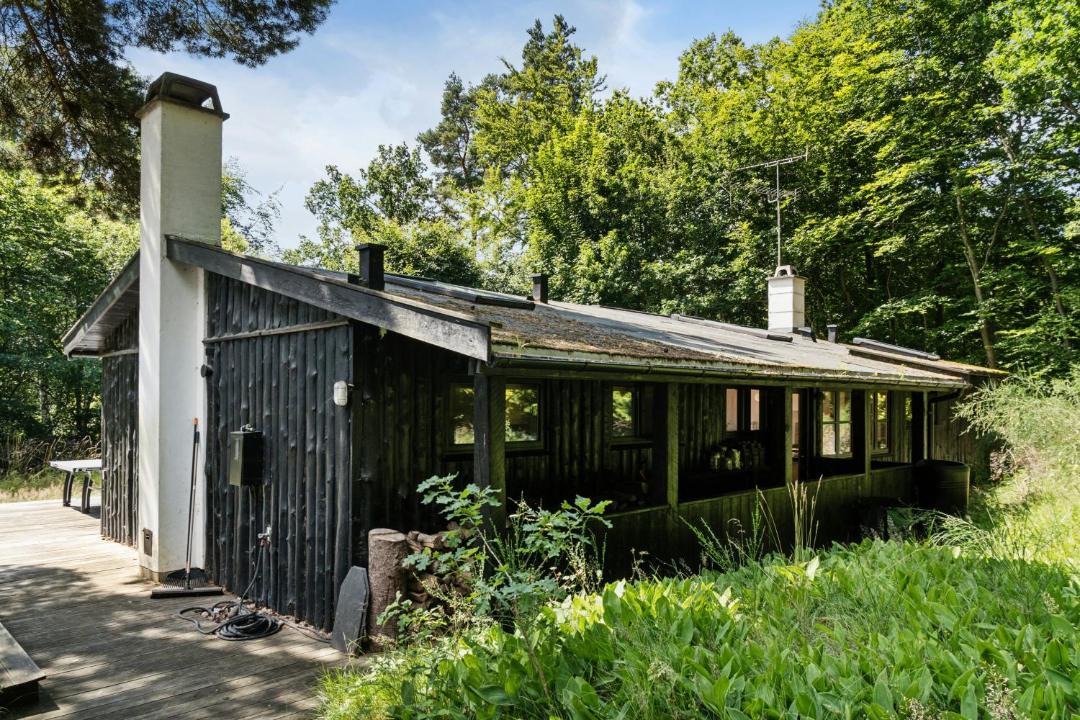 Photo of Others in Tisvildeleje