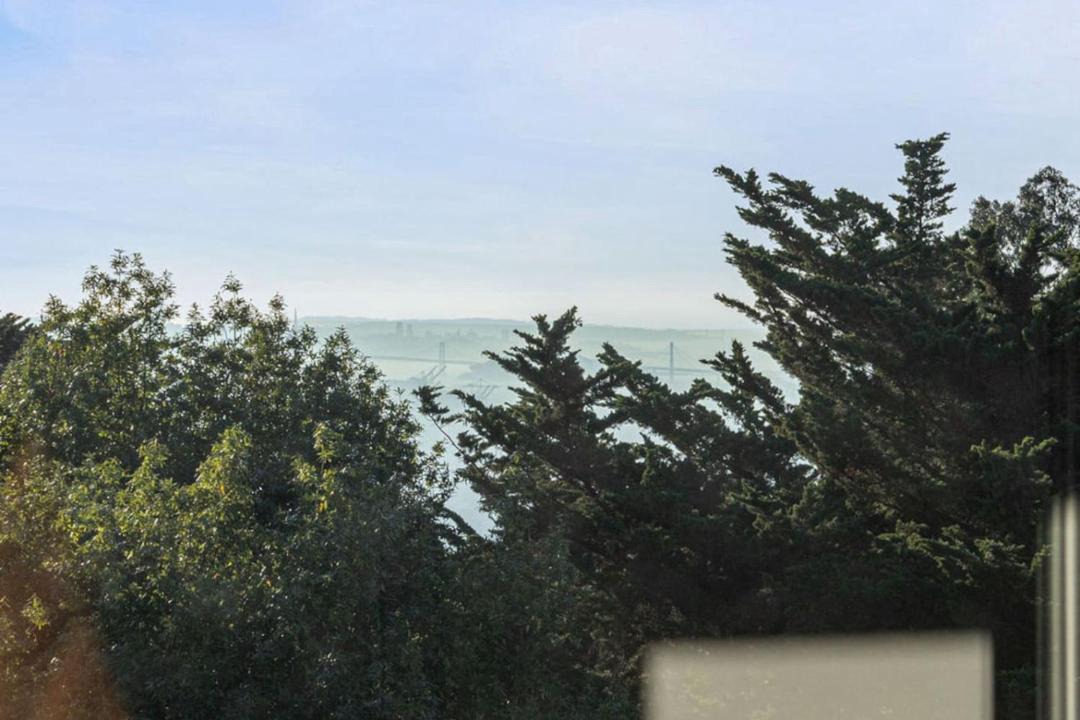 Photo of Others in Piedmont Pines