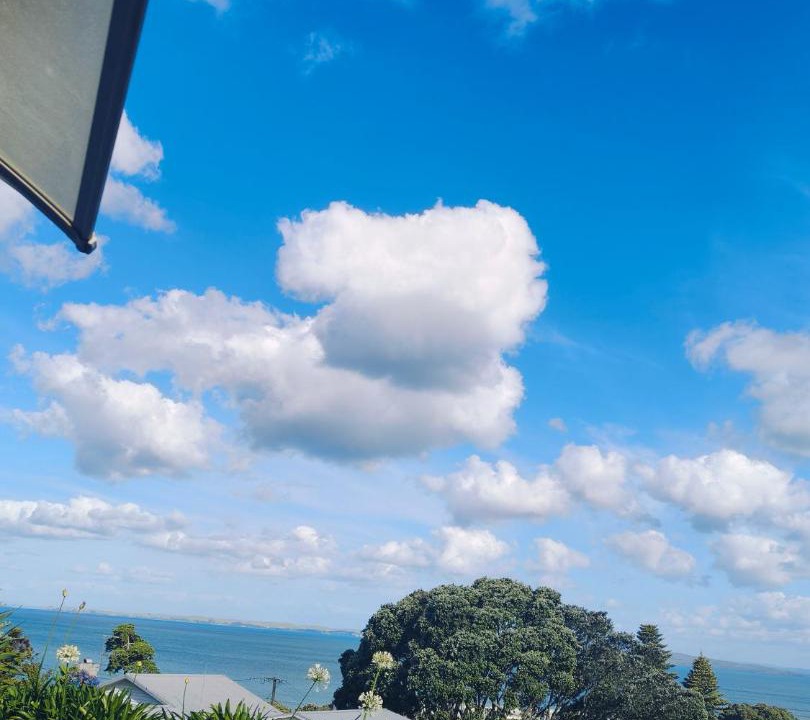 Photo of Others in Browns Bay