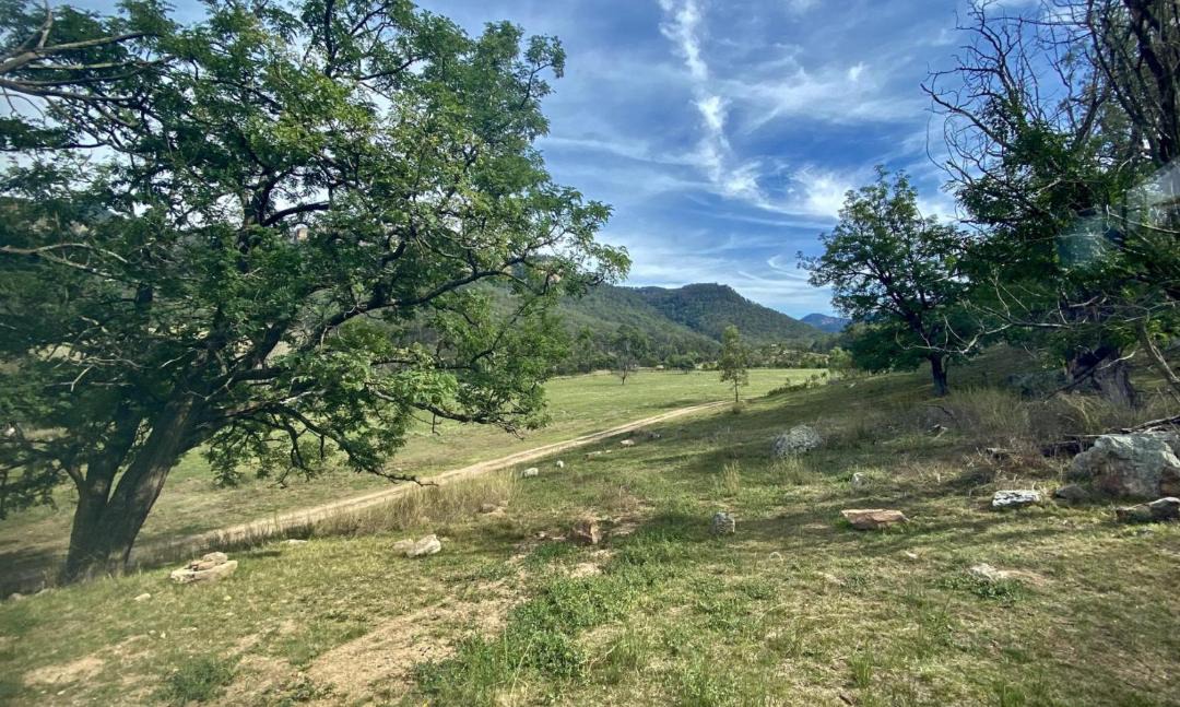 Photo of Others in Upper Nile