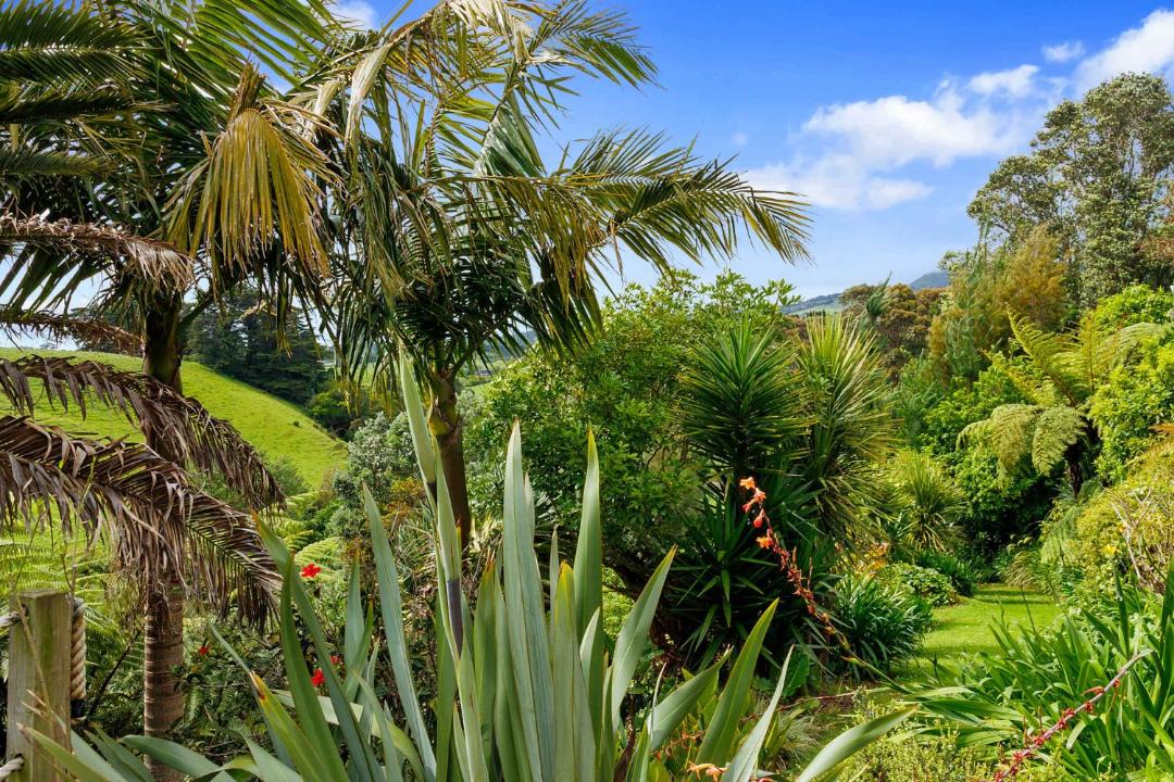 Photo of Others in Oakura