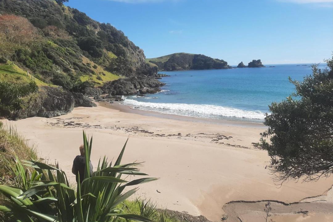 Photo of Others in Mahinepua