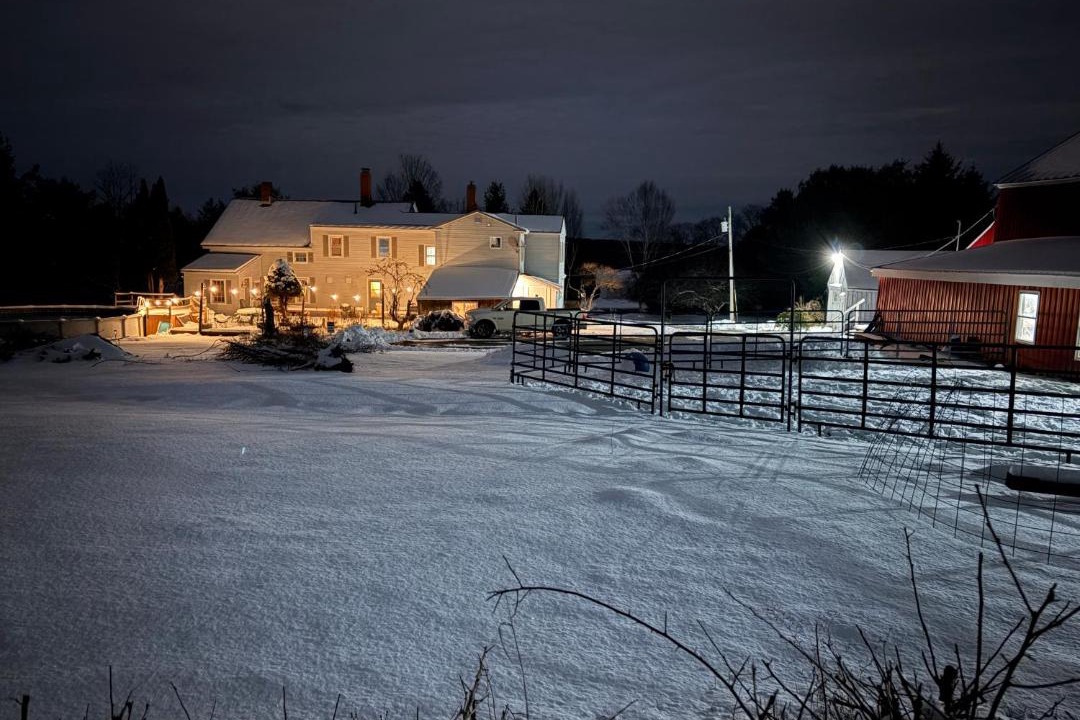 Photo of Others in Oakland