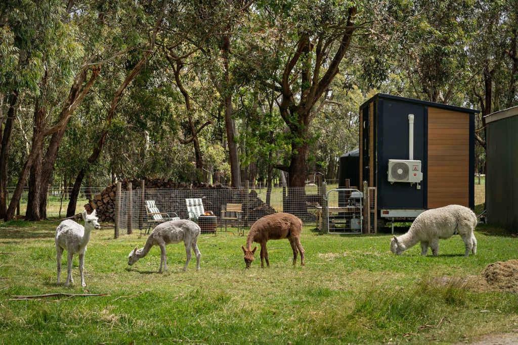 Photo of Others in Kernot