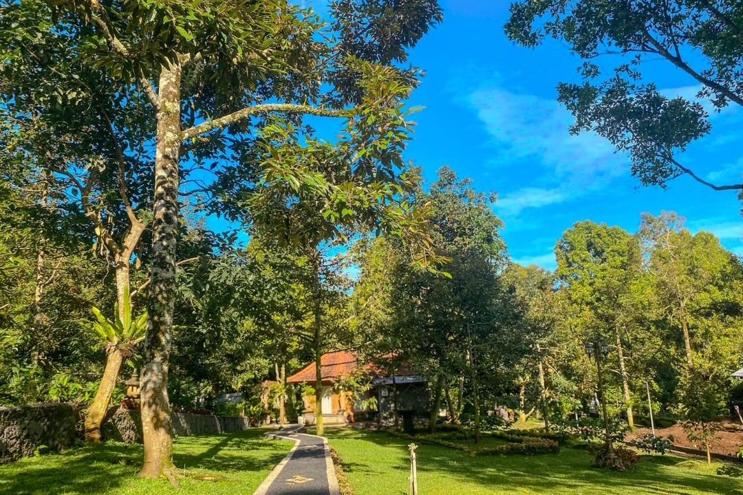 Photo of Others in Munduk