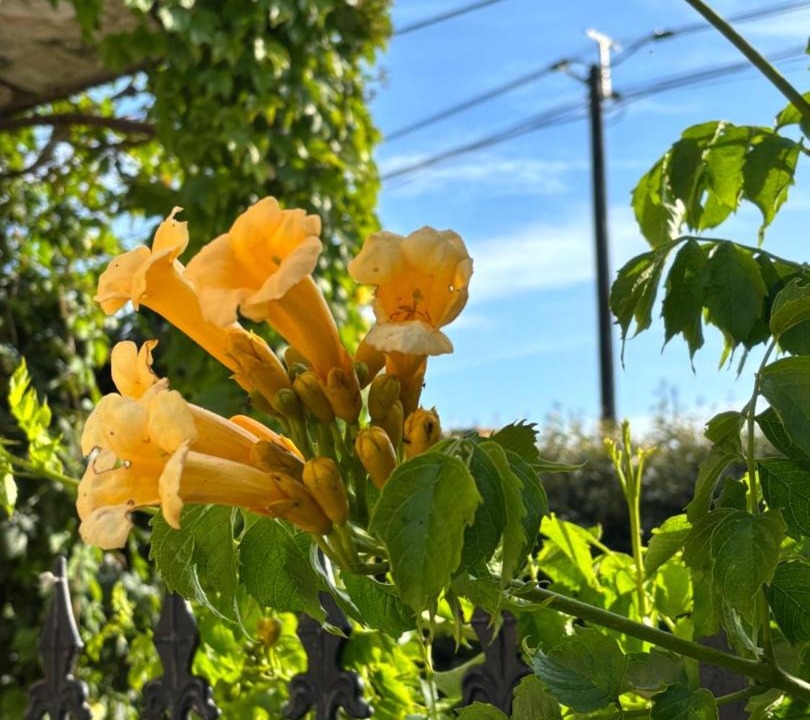 Photo of Others in Hames-Boucres