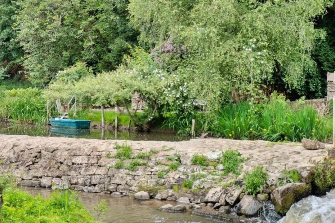 Photo of Others in Oisseau