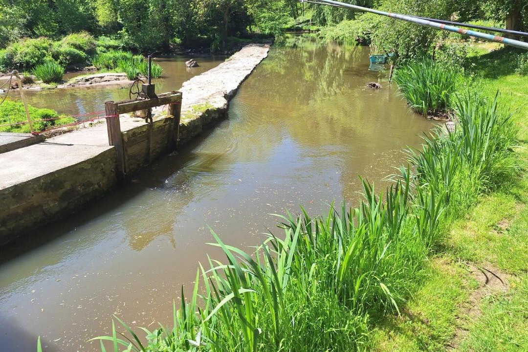 Photo of Others in Oisseau