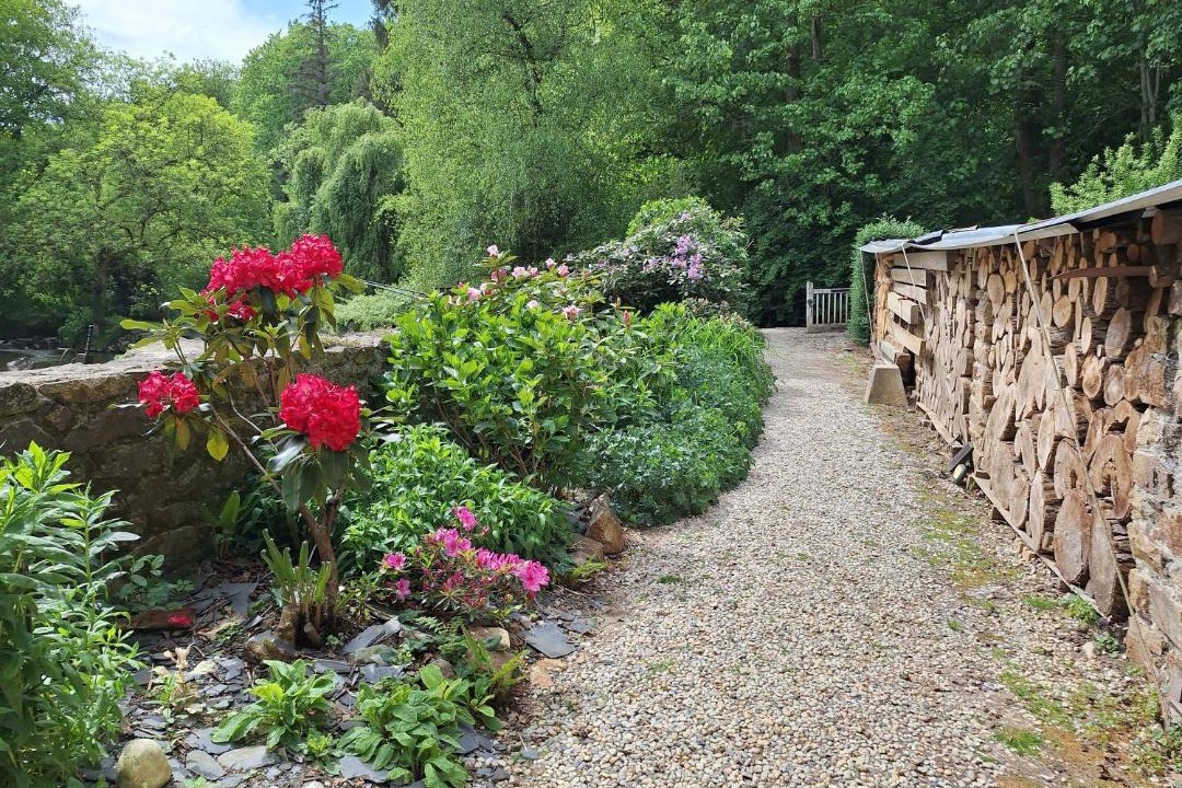 Photo of Others in Oisseau