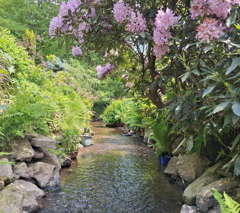 Photo of Others in Oisseau