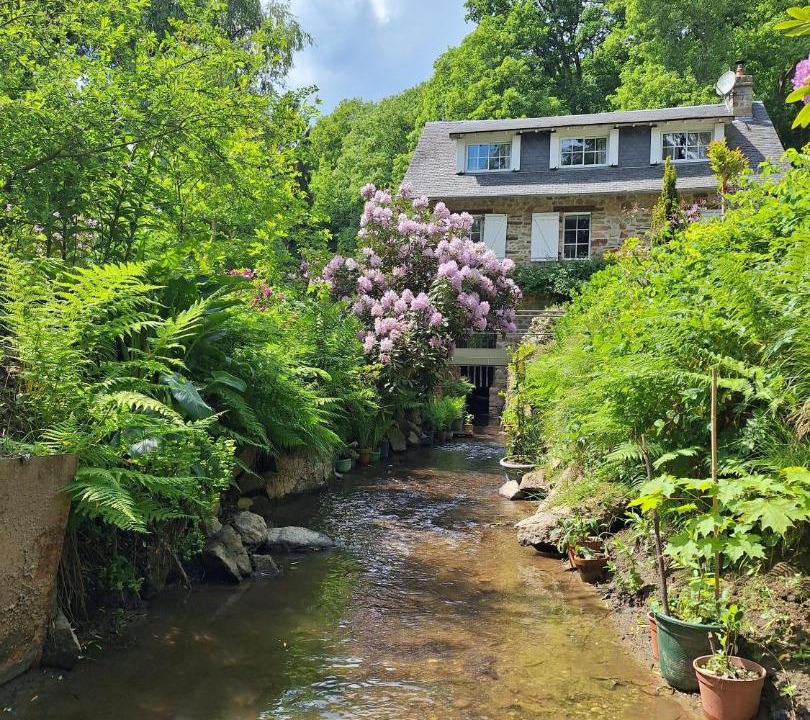 Photo of Others in Oisseau