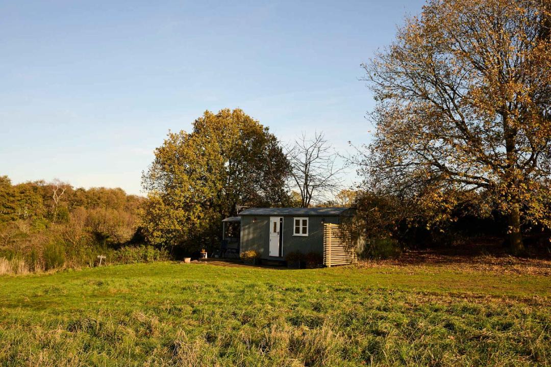 Photo of Others in Marsham