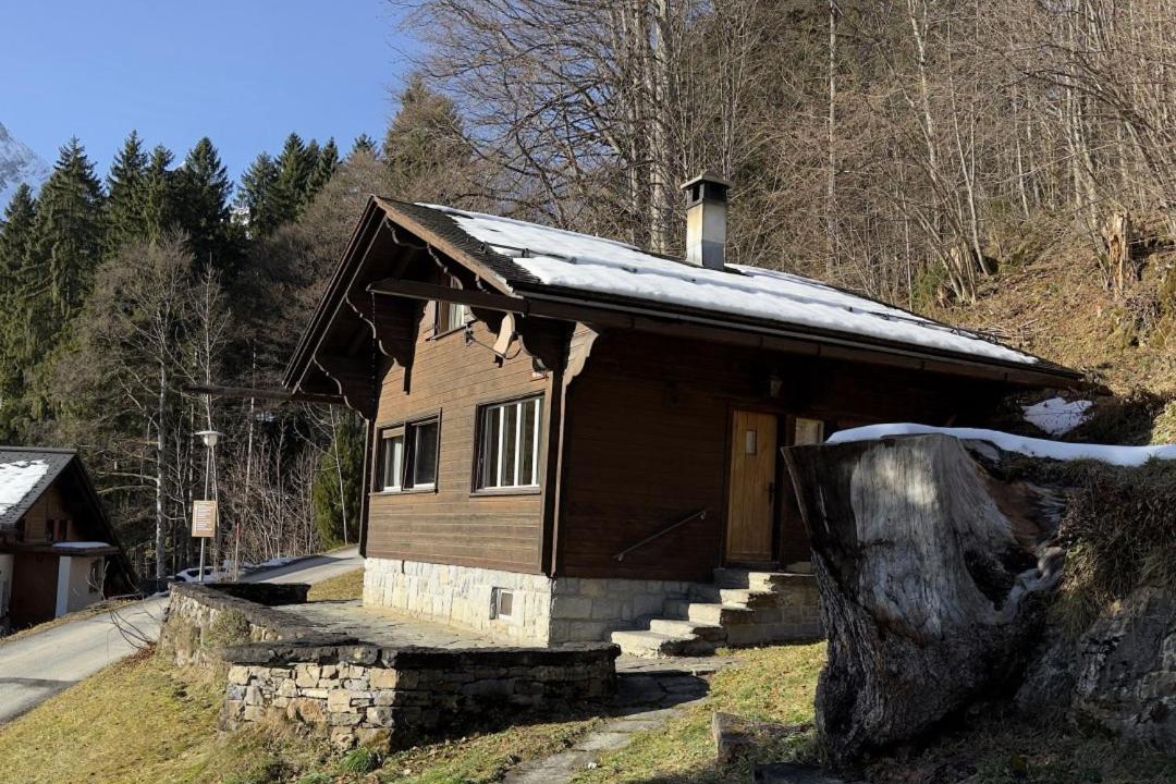 Photo of Others in Braunwald