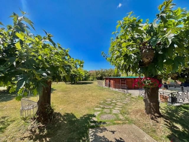 Photo of Others in Saint-Julien-les-Rosiers