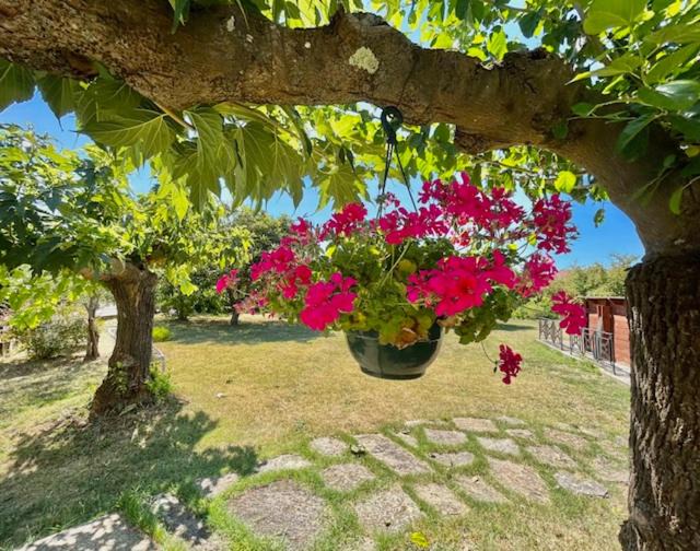 Photo of Others in Saint-Julien-les-Rosiers