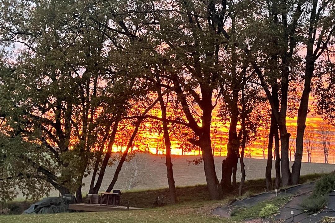 Photo of Others in Gemil